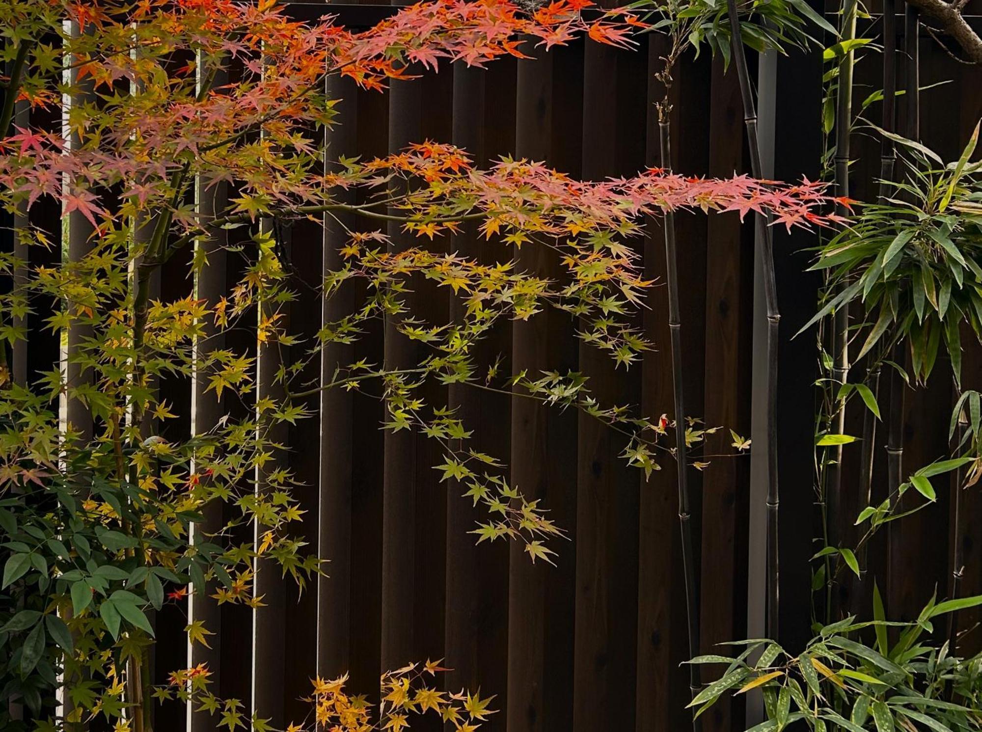 Guest House Oumi Kyoto Exterior photo